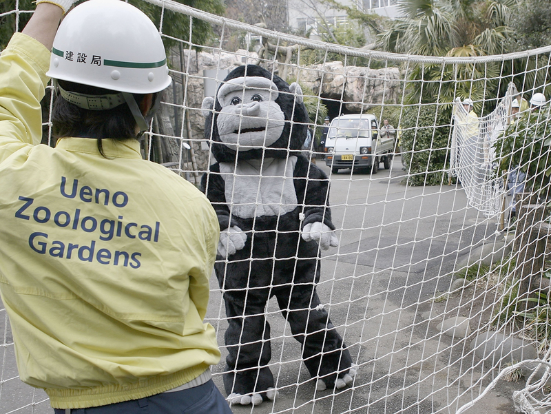 Illustration for article titled The Amazing World Of Zoo Drills, With Humans Dressed As Escaped Animals